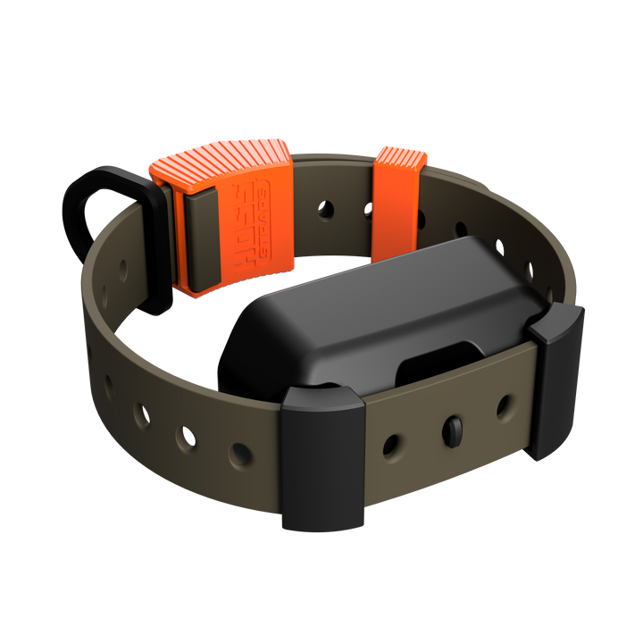 Training Collar Setup