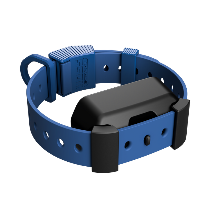 Field Collar — Complete System