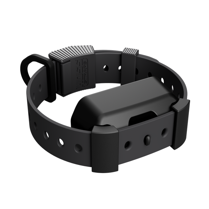 Field Collar — Complete System