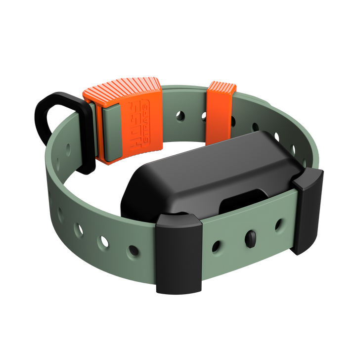 Training Collar Setup