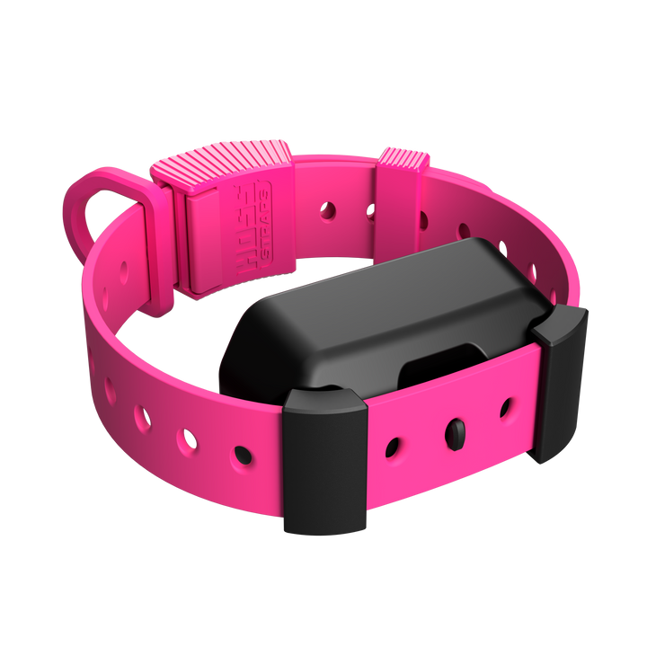 Field Collar — Complete System