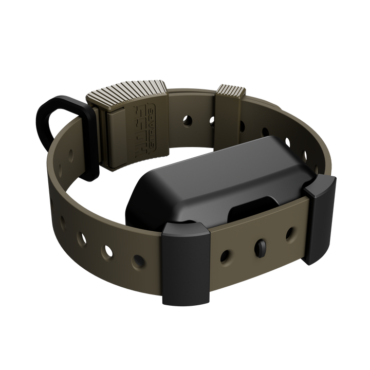 Training Collar Setup