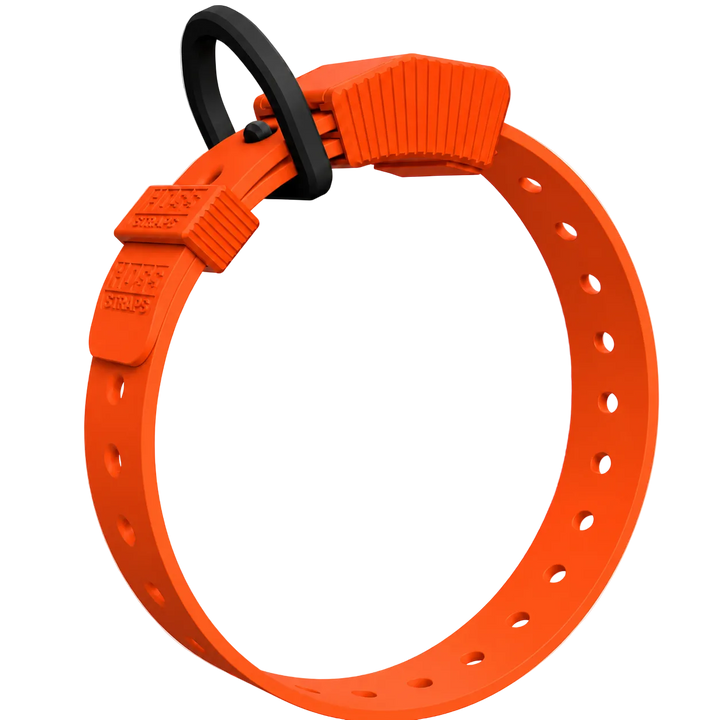 Premium Dog Collars