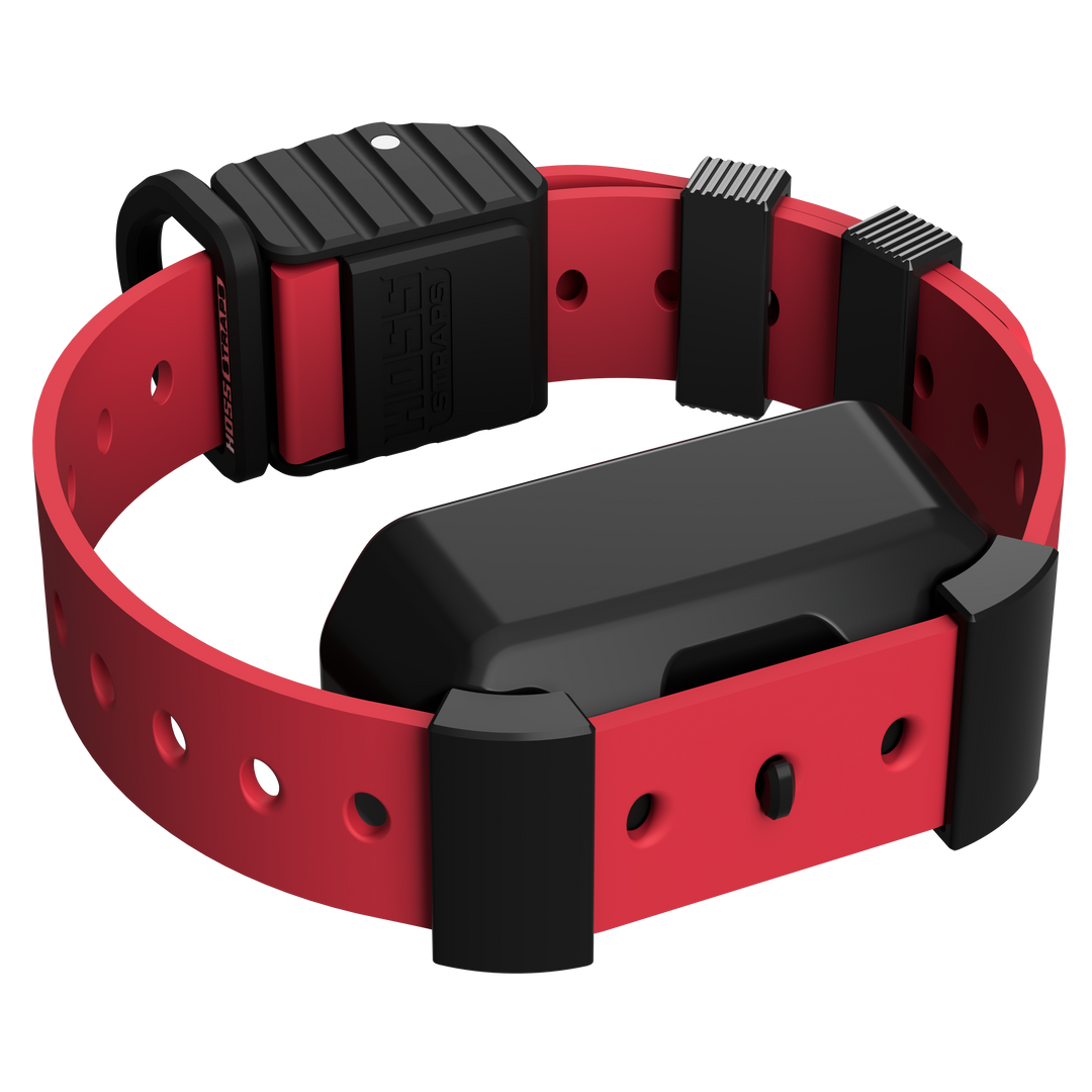 Pro Series Training Collar Setup