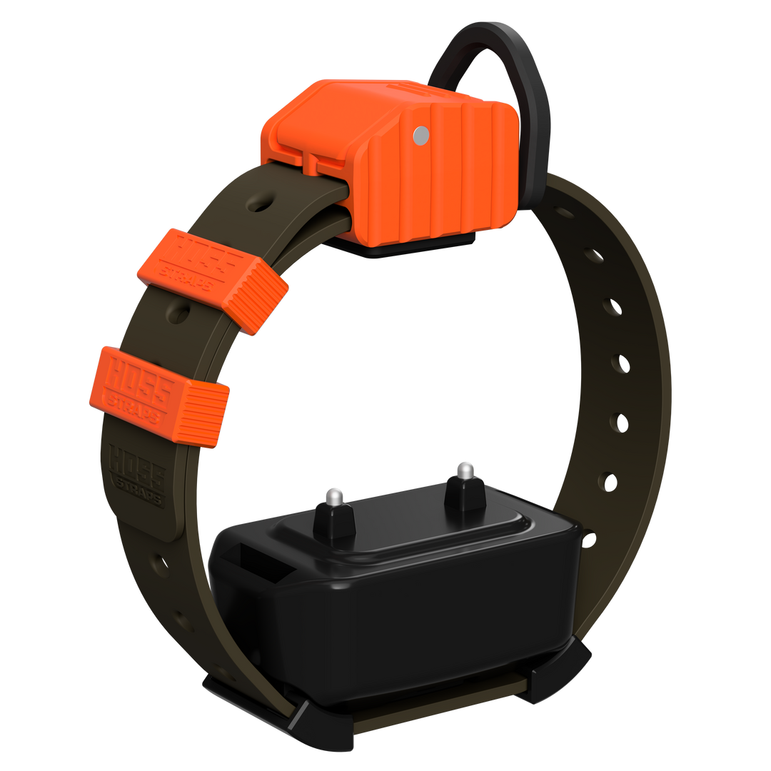 Pro Series Training Collar Setup
