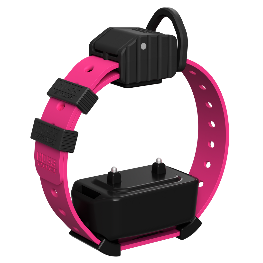 Pro Series Training Collar Setup