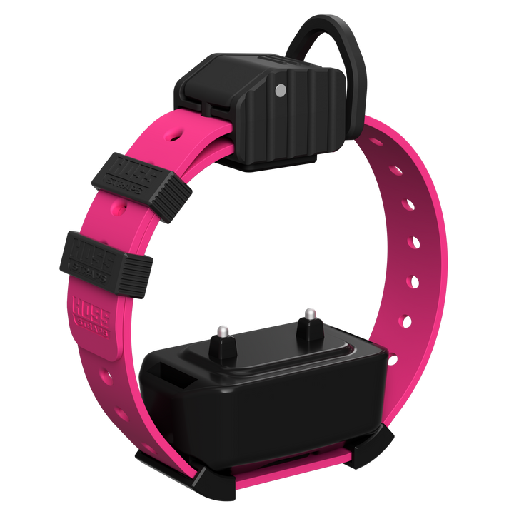 Pro Series Training Collar Setup