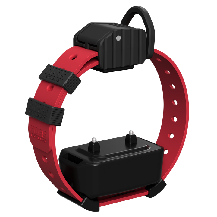 Pro Series Training Collar Setup