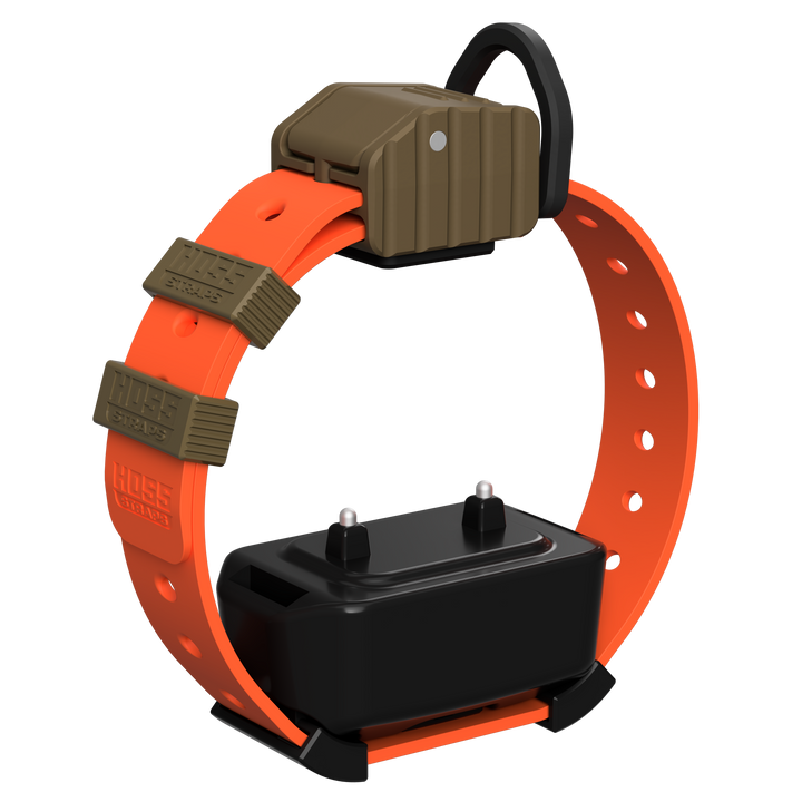Pro Series Training Collar Setup
