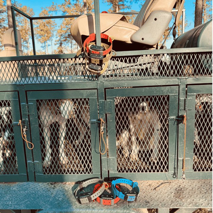 The Field Setup (3 Pack)