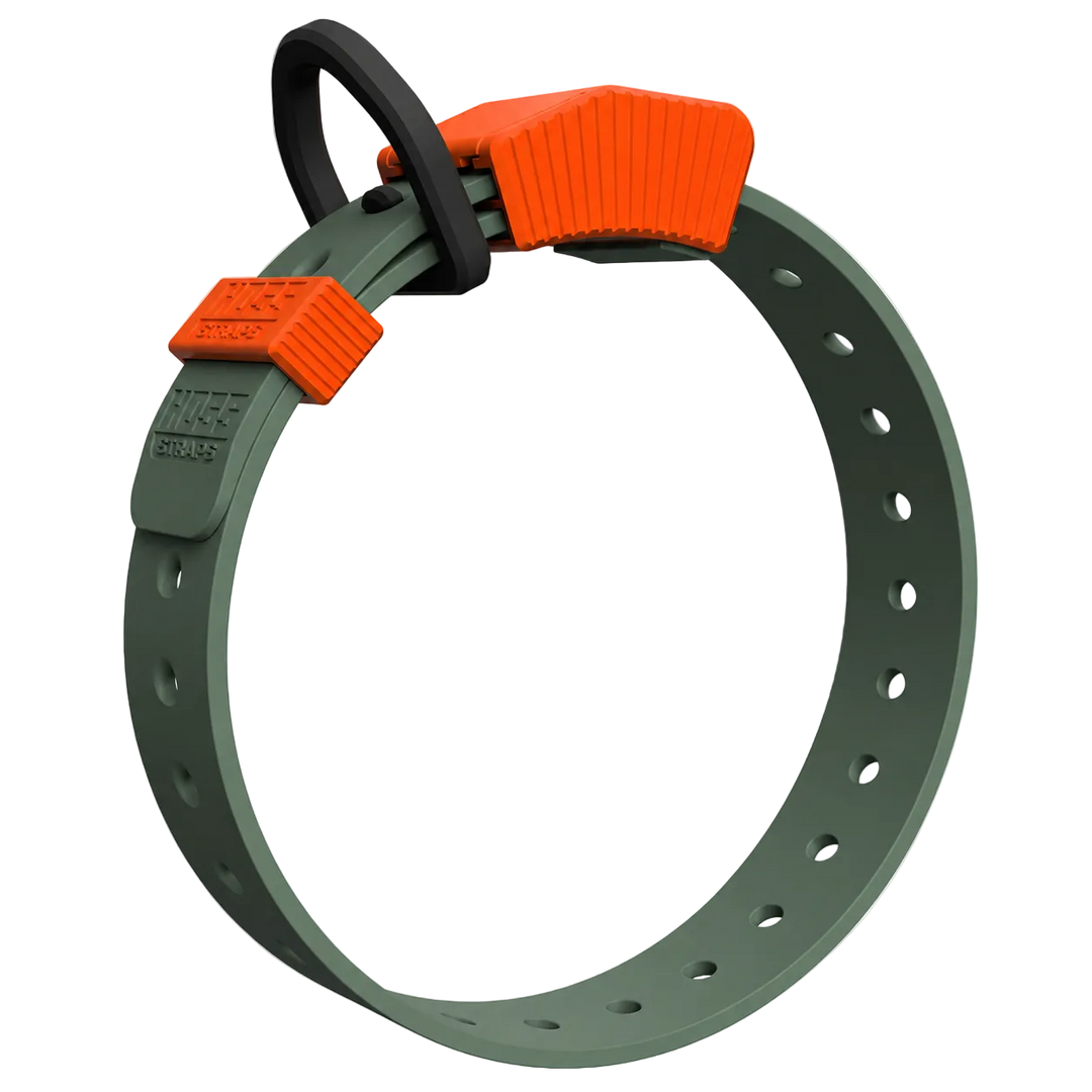 Premium Dog Collars
