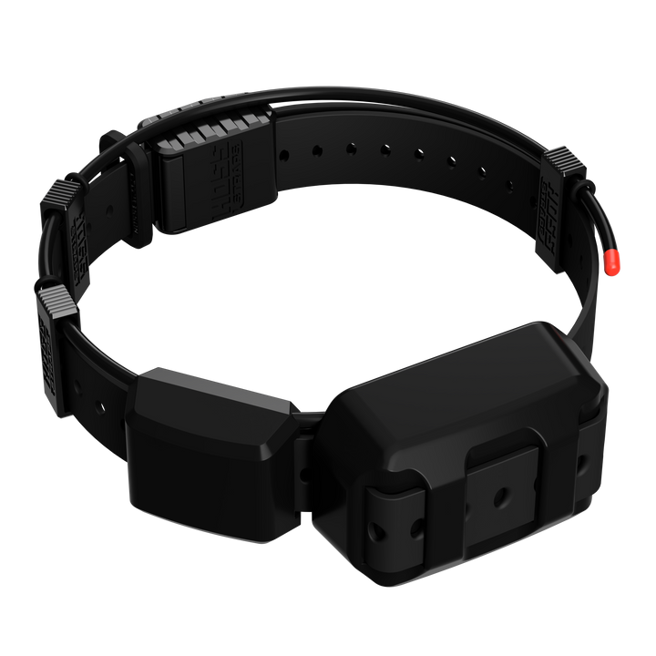 TT25 Replacement Strap