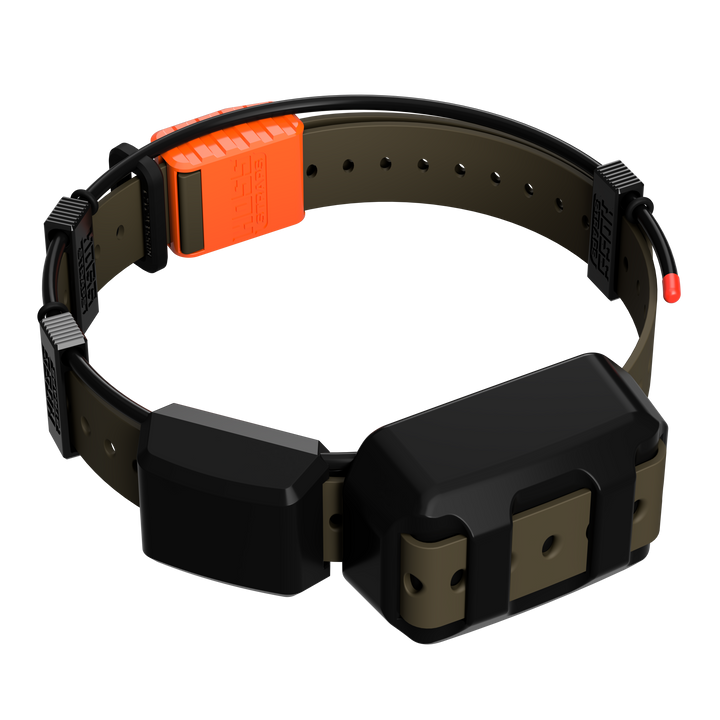 TT25 Replacement Strap