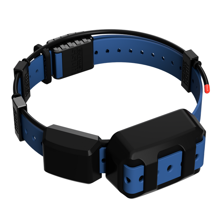 TT25 Replacement Strap