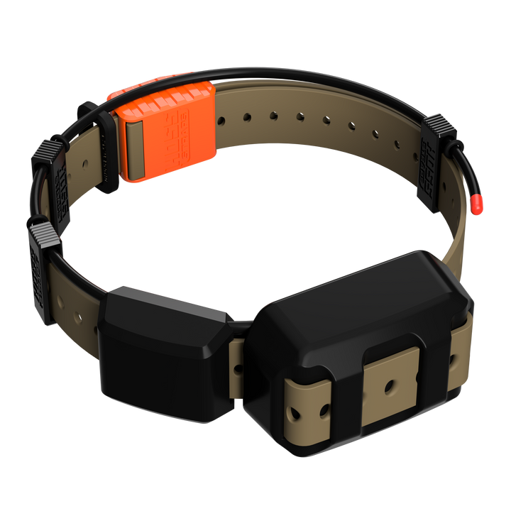TT25 Replacement Strap