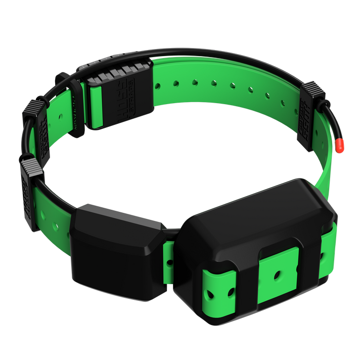 TT25 Replacement Strap