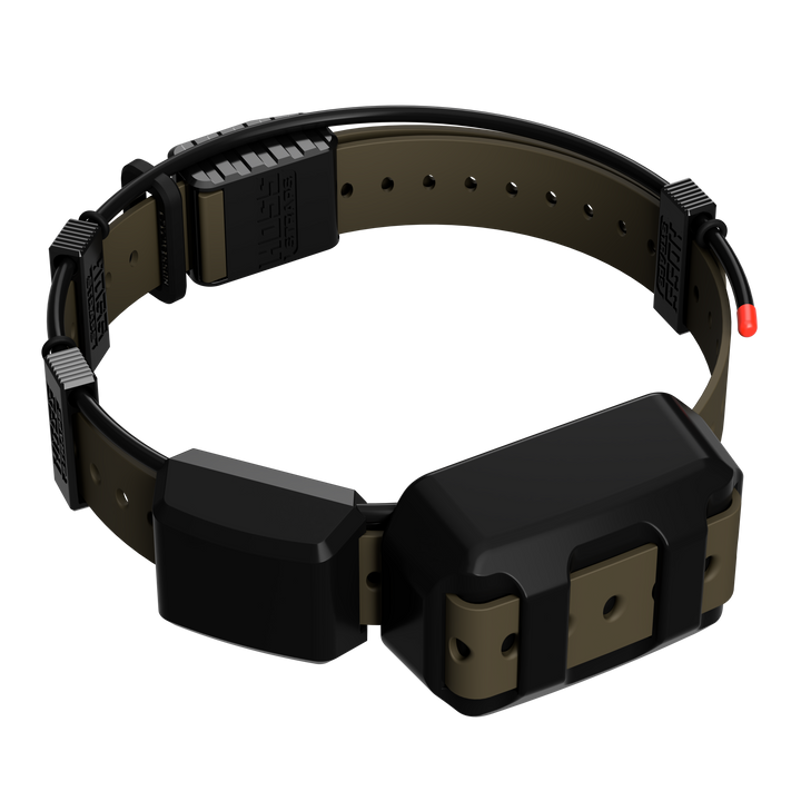 TT25 Replacement Strap