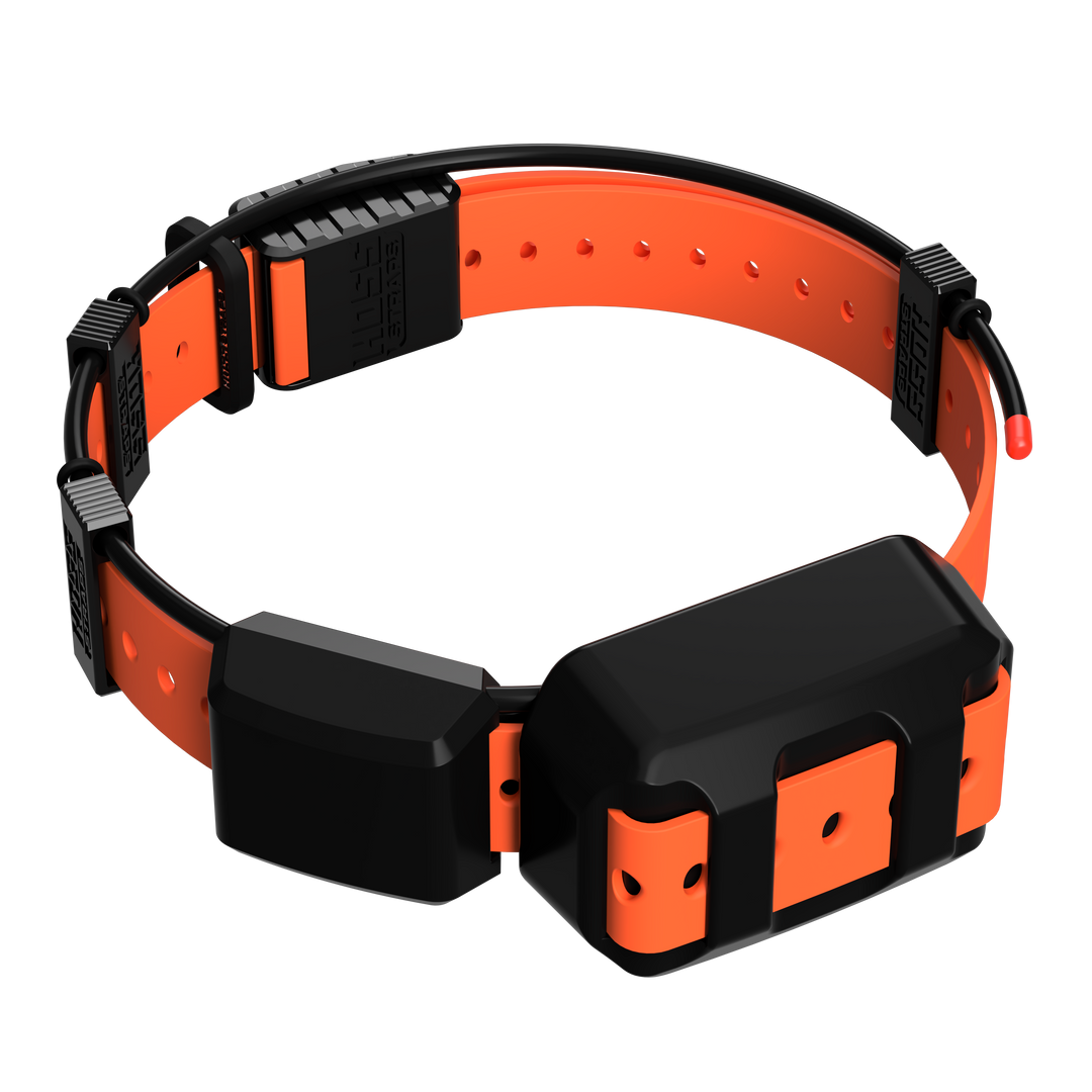 TT25 Replacement Strap