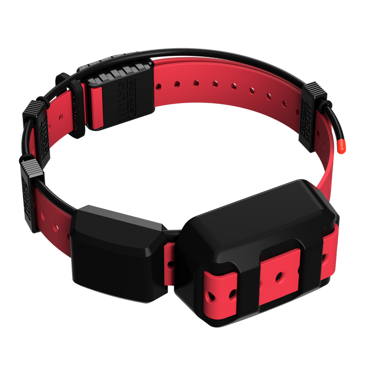 TT25 Replacement Strap