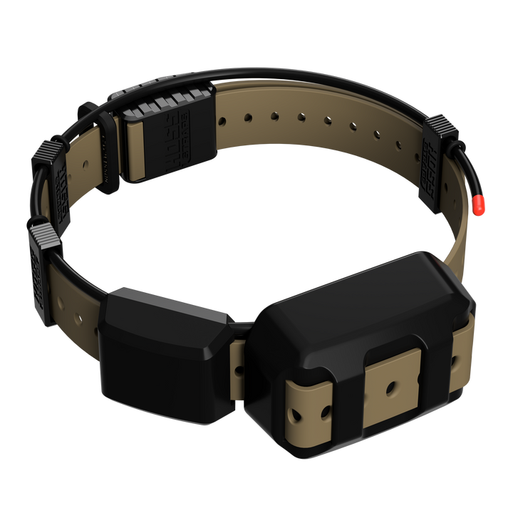 TT25 Replacement Strap