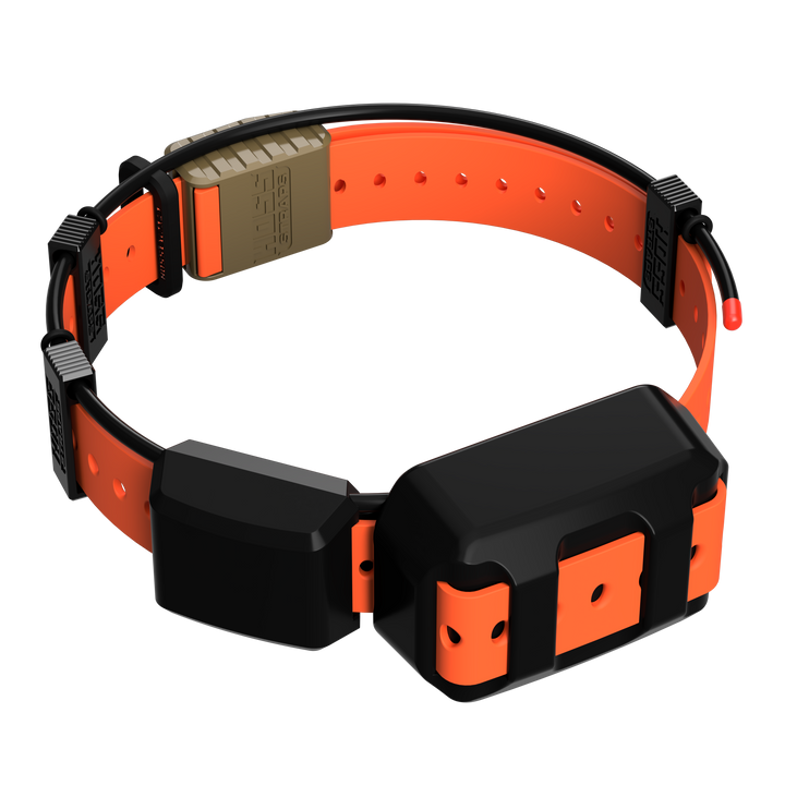 TT25 Replacement Strap