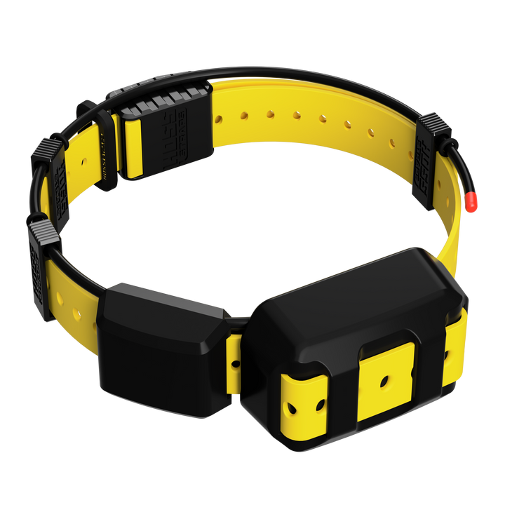 TT25 Replacement Strap