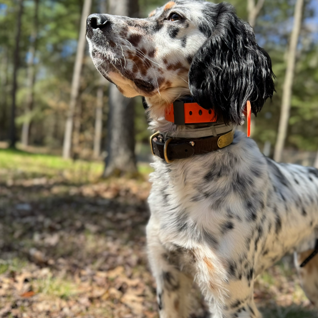 Field Collar — Complete System