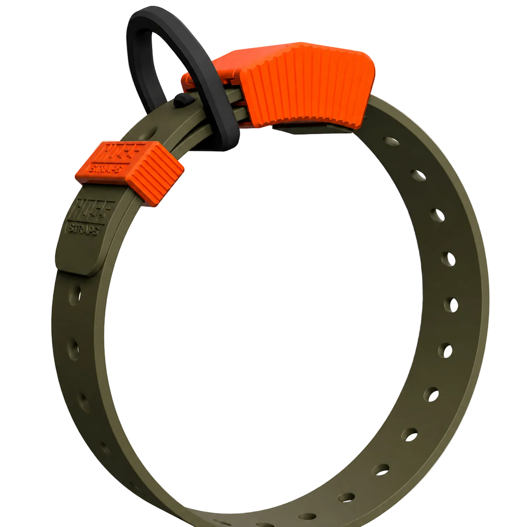 Premium Dog Collars