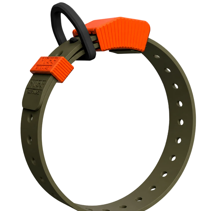 Premium Dog Collars